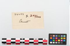 Etikett zu Bimetallantennendolch (NHMW-PRAE-024299)